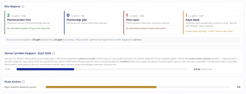 Personel Performansı · Efor