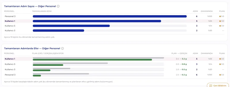Personel Performansı · Efor