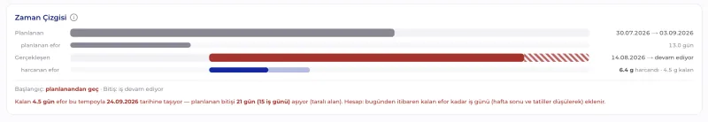 Proje Performansı